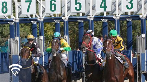 Quinella Bet in Horse Racing .